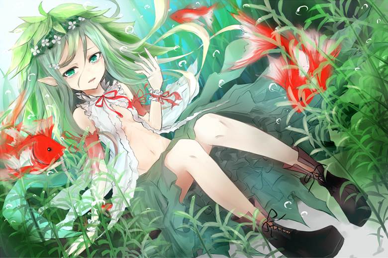 原创, water, 金鱼