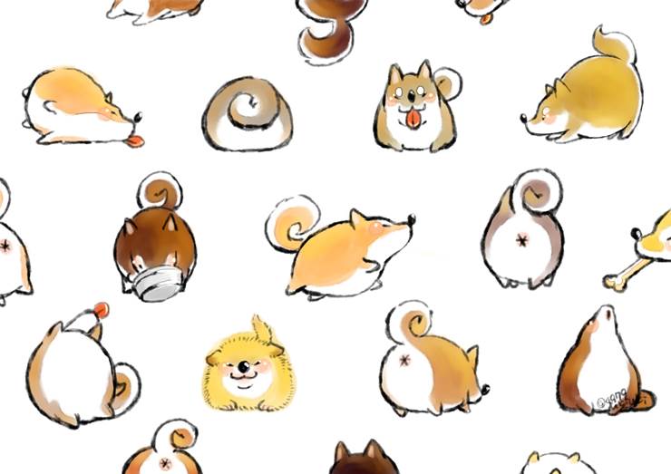 一个圆点|插画师雨季的狗类动物插画图片