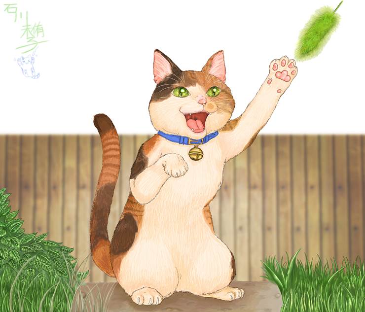 原创, cat, 猫, 动物, kitty, 猫, green foxtail, paw pads, 毛茸茸