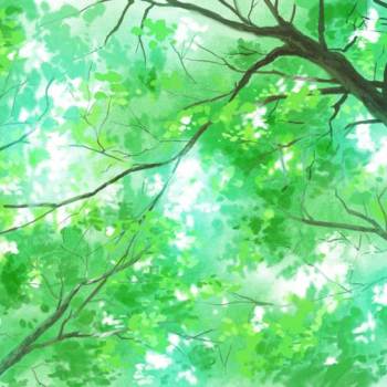 木漏れ日|広田スタジオお的树木植物插画图片