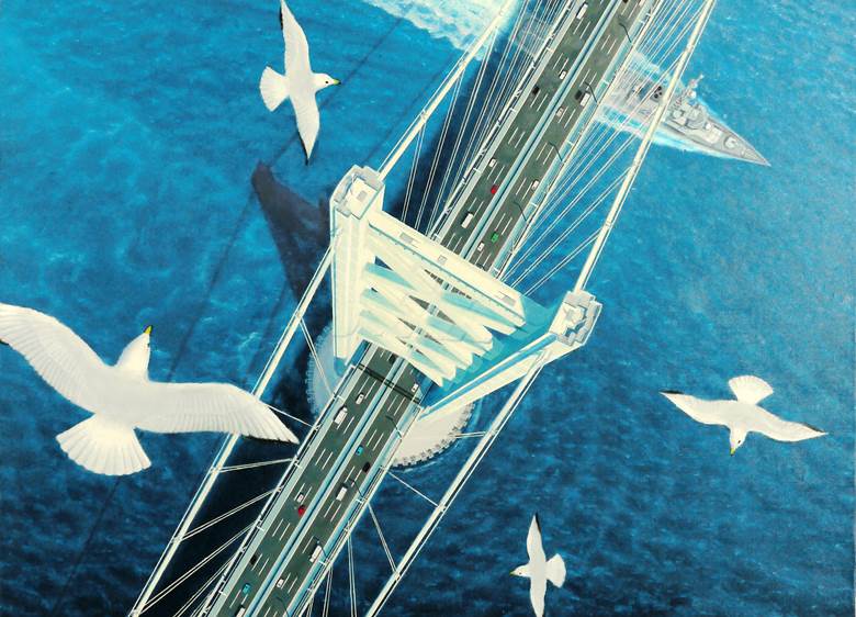 风景, sea, seagull, 海上自卫队, 护卫舰, bird's‐eye view, 鸟, 原创100收藏