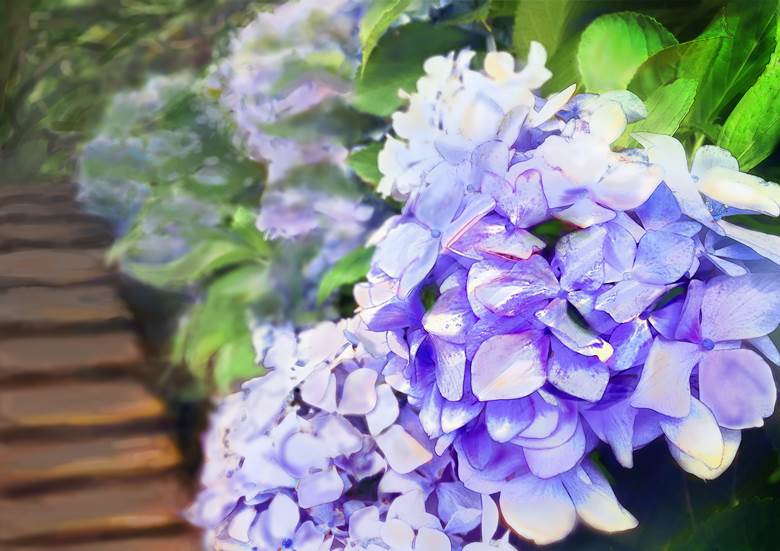 rainy season, 紫阳花, Original 500+ bookmarks, original character