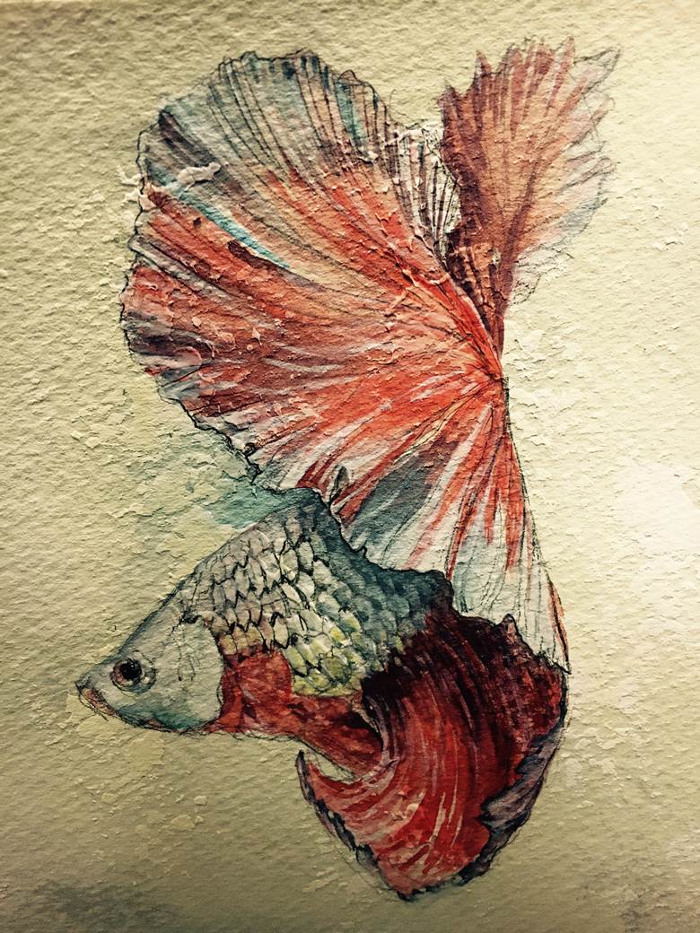 金鱼, 手绘, watercolor, amazing analog art
