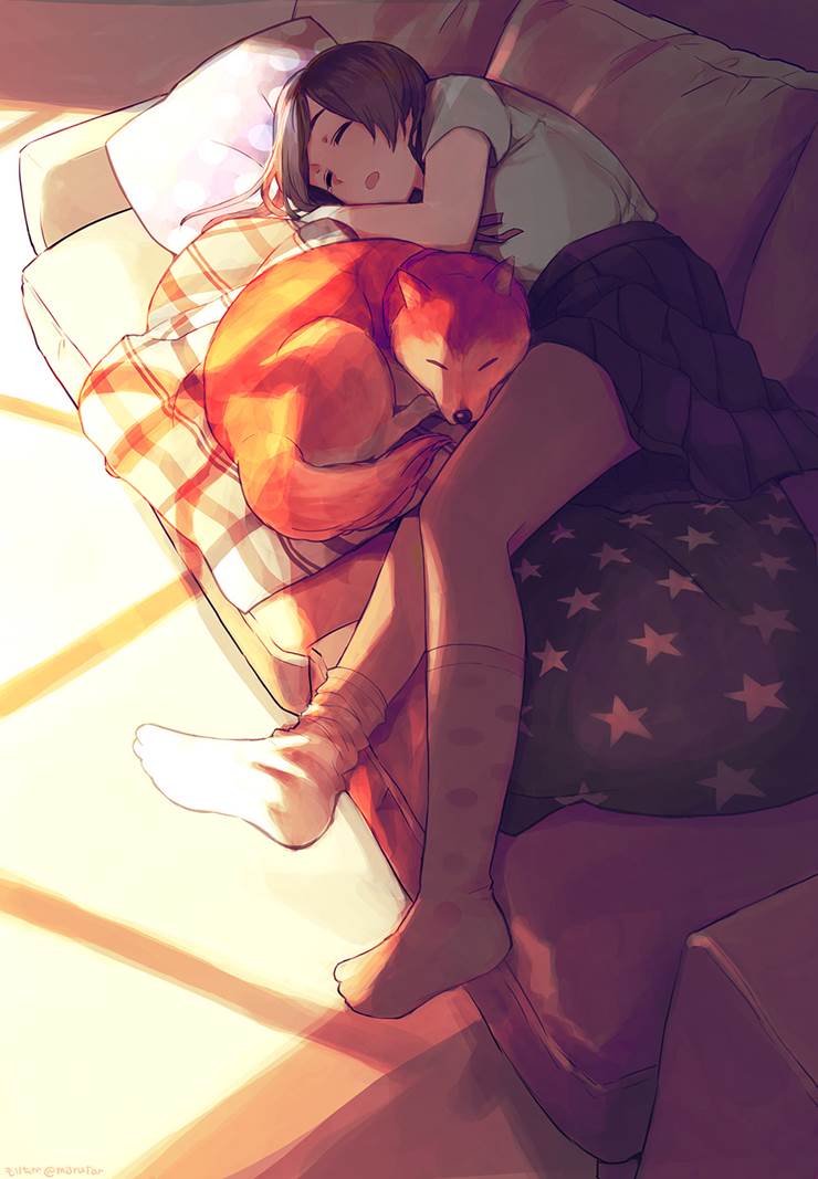 girl, dog, white knee socks, dog and girl, shiba inu, sofa, lying on one side, original 7,500+ bookmarks