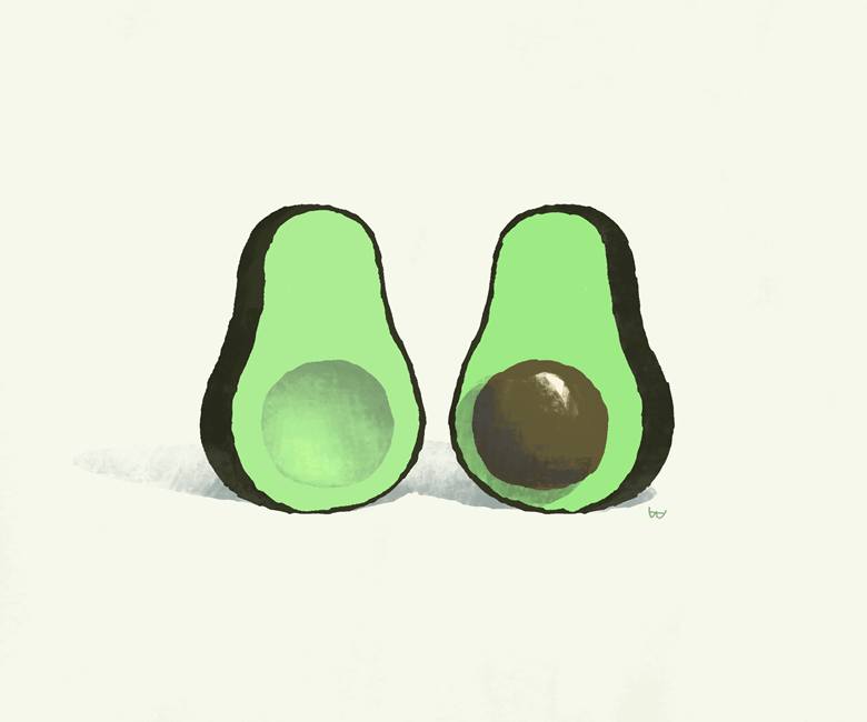 fruit, avocado