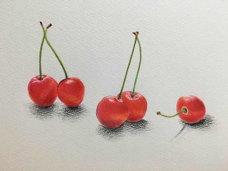 さくらんぼ|shiori的樱桃水果插画图片