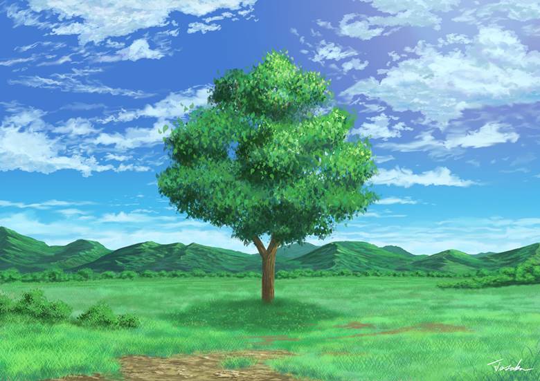 いっぽんの木|とさかのセキ的树木植物插画图片