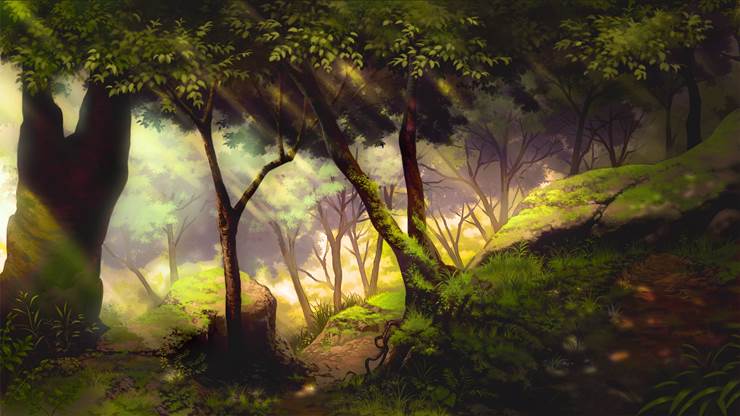 日差しのある森|光浦的树木植物插画图片