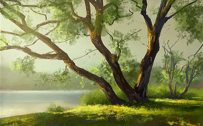 湖と木|MasashiK的Pixiv风景插画图片