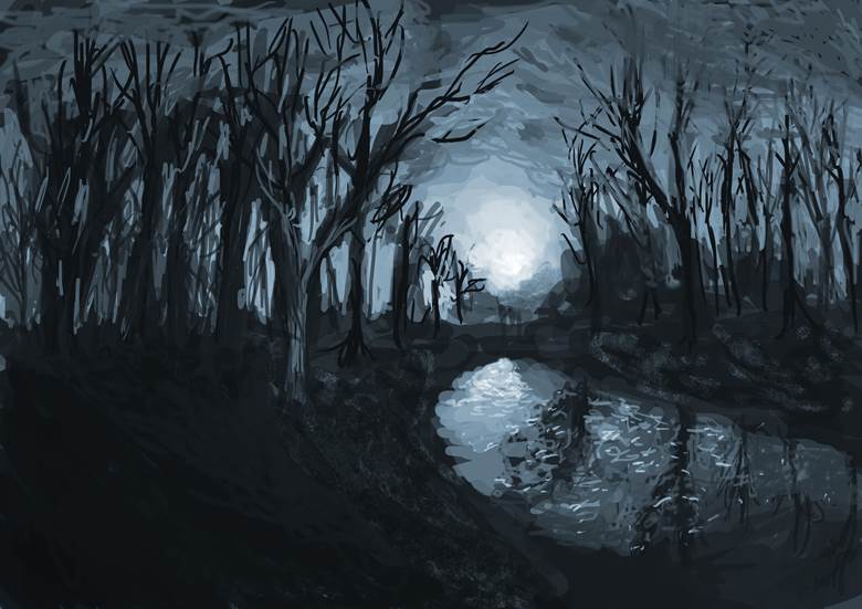 forest, background, 风景