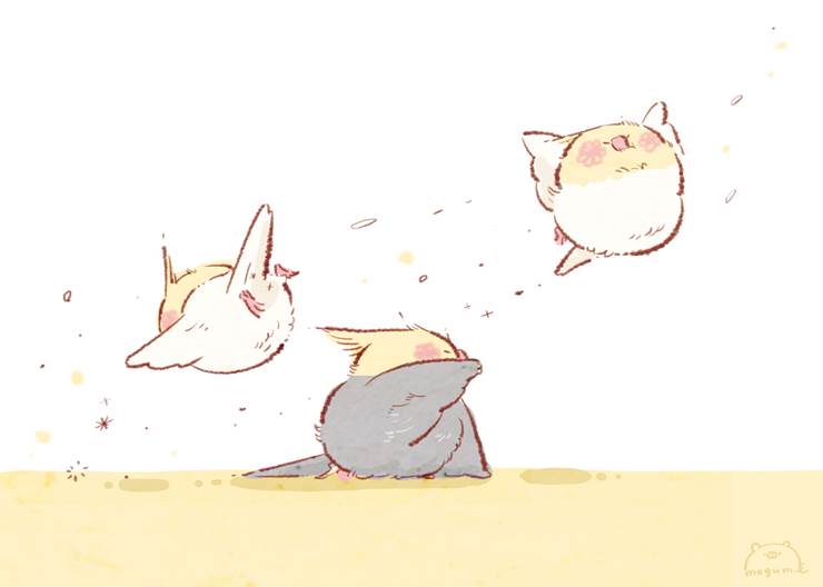 逆风に立ち向かうオカメちゃん达|ふじもとめぐみ的小鸟动物插画图片