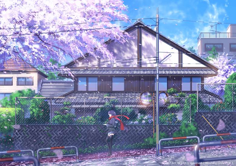 background, 风景, japan, flower, 风景5000收藏