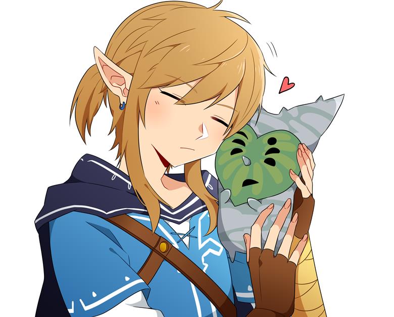 塞尔达传说, 旷野之息, 塞尔达传说500收藏