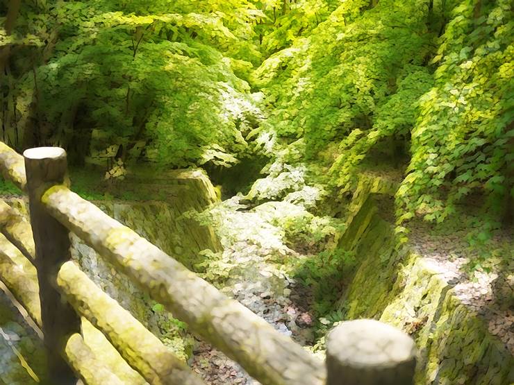 风景,background,cover picture,nature,insert,forest,forest,和风,mountain,河 ...