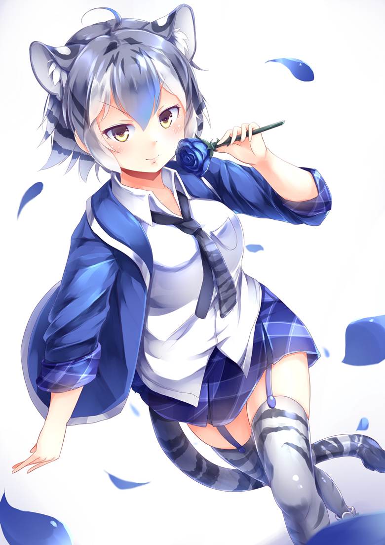Kemono Friends, Maltese Tiger (Kemono Friends), handsome girl, tiger ears, Kemono Friends 100+ bookmarks, garterbelt