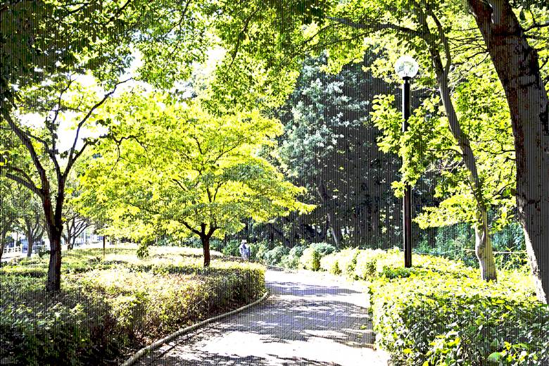 graphic, art, 风景, town, road, 树, trees, tokyo, 夏天, park