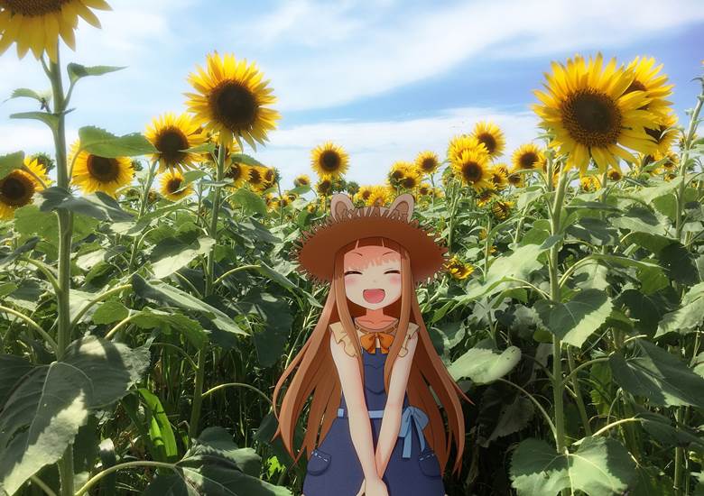 仁奈ちゃんとひまわり畑に行ってきました|あやたんく的夏天好风景插画图片