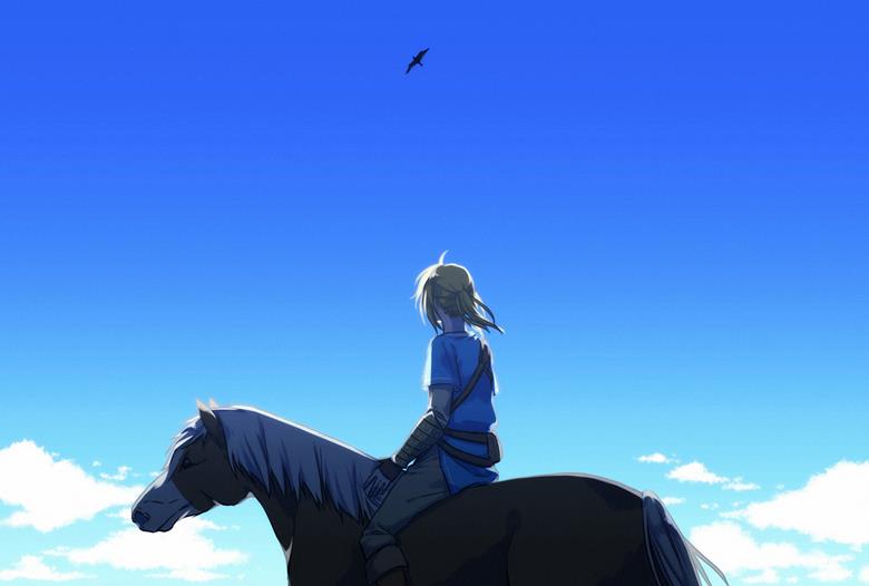 the legend of zelda, Breath of the Wild, The Legend of Zelda 1000+ bookmarks, Link (Breath of the Wild)