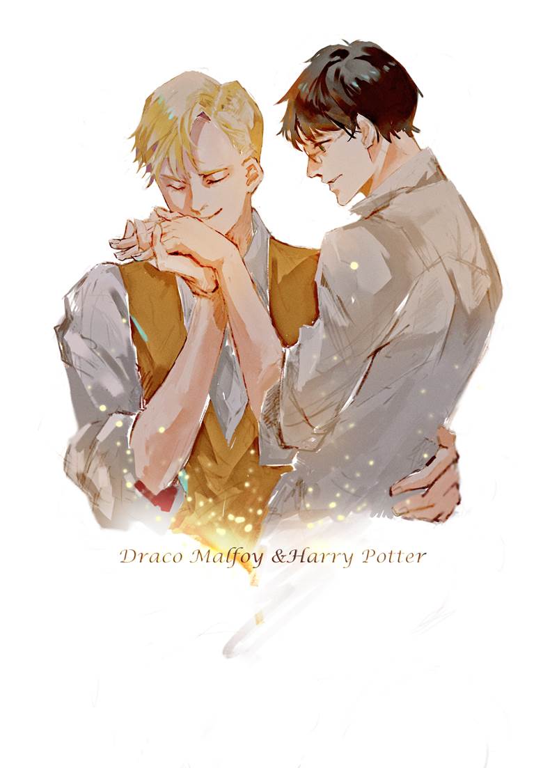 Harry Potter, Draco/Harry