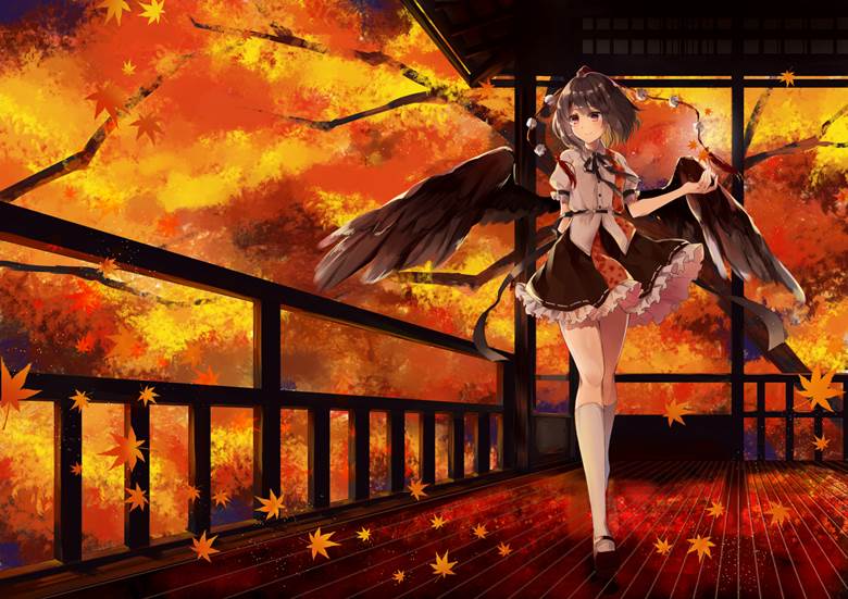 Touhou, Touhou Project, scenery, autumn leaves, aya shameimaru, beautiful, Touhou Project 1000+ bookmarks, bewitching thighs, Legs of Touhou girls