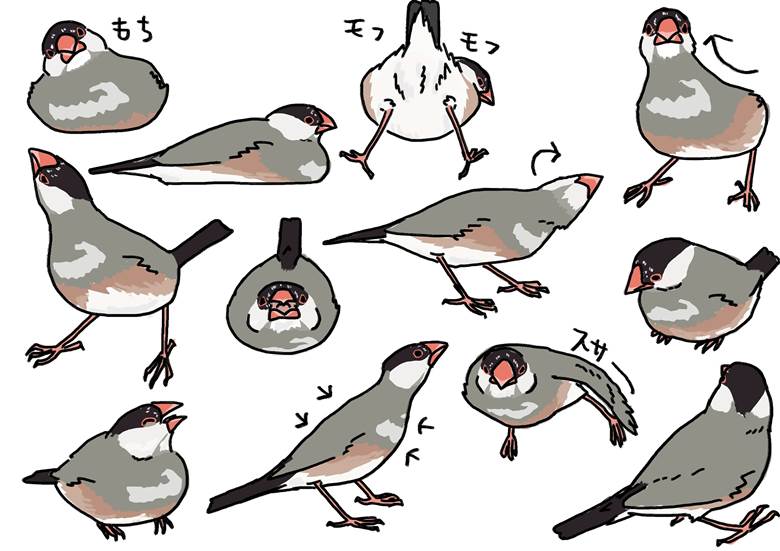 おもち诘め合わせ|エムイーイチヨン的小鸟动物插画图片