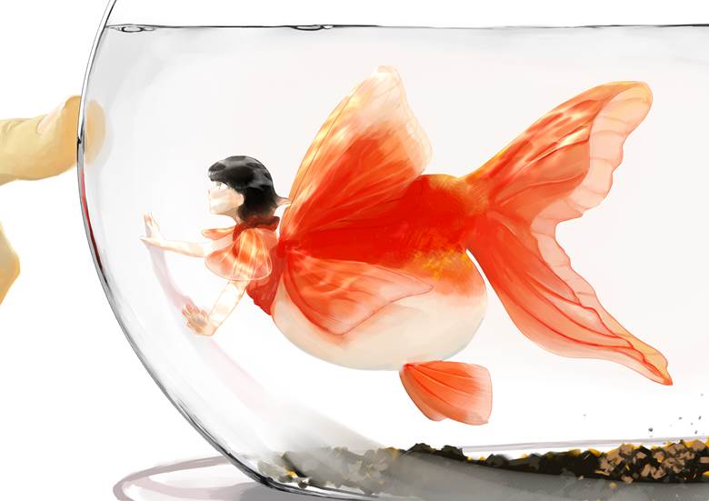 original, mermaid, girl, goldfish, goldfish bowl