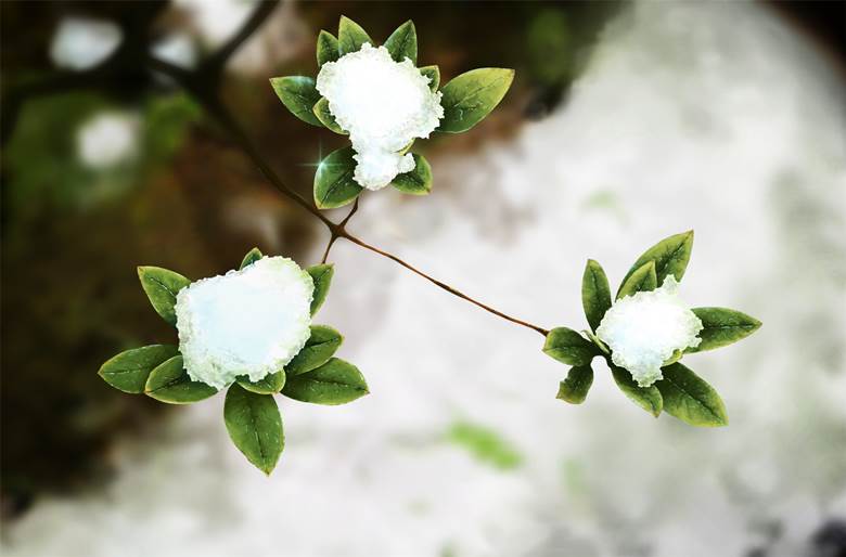 snow, ice, flower, plant, scenery