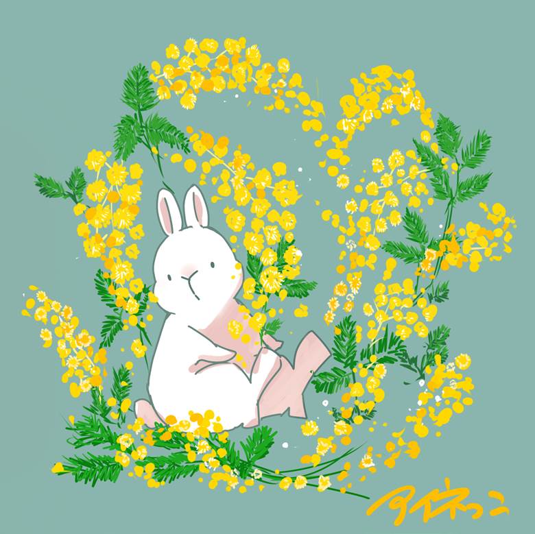 ミモザ|アイネっこ的小兔子动物插画图片