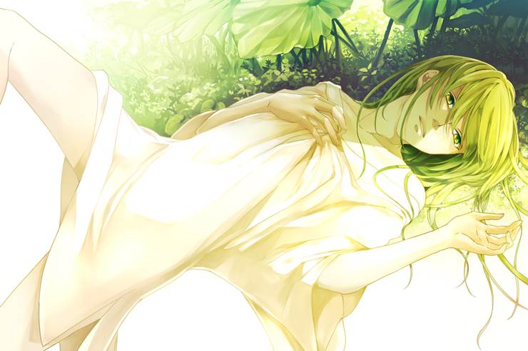 緑の人形FGO|コナ（Ｎａ）的植物景观插画图片