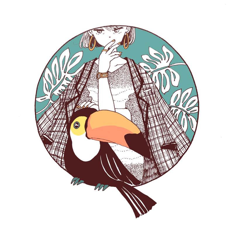 オオハシとジャケット|ろく的小鸟动物插画图片