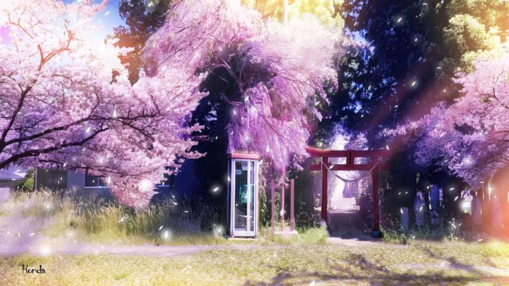 风景, 原创, background, Torii, 樱, spring, phone booth, payphone, 原创7500收藏, 风景5000收藏