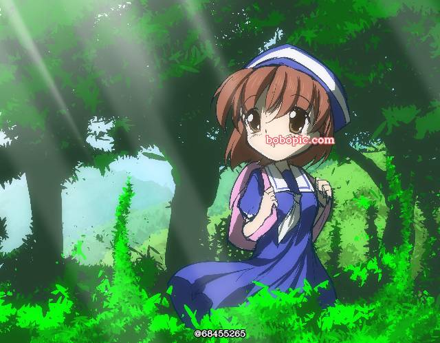 女孩子, 冈崎汐, forest, illustration