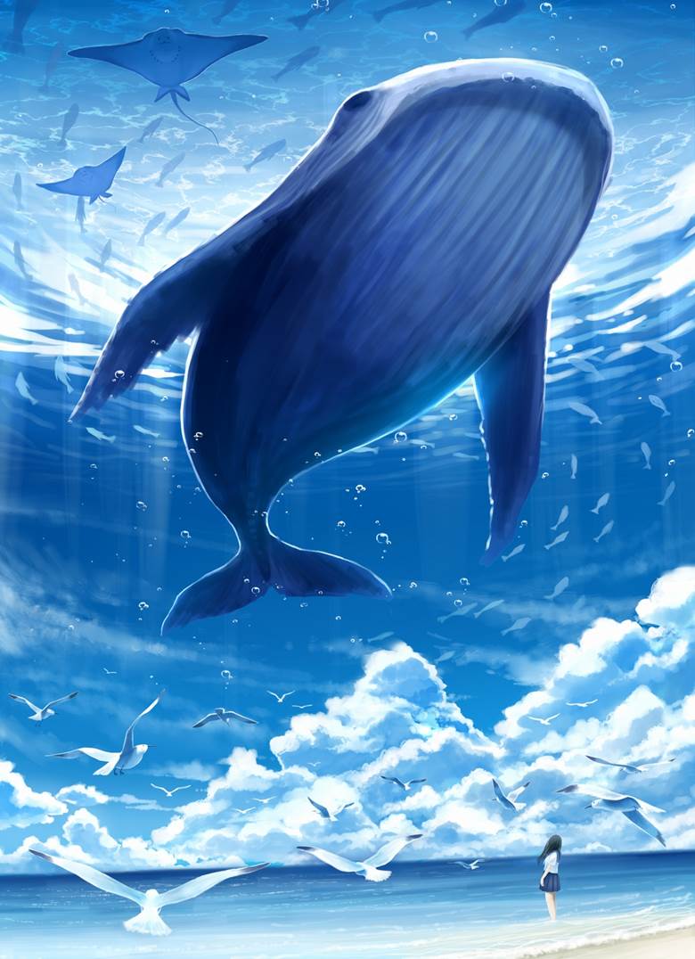 original, scenery, cumulo-nimbus, underwater, coast, whale