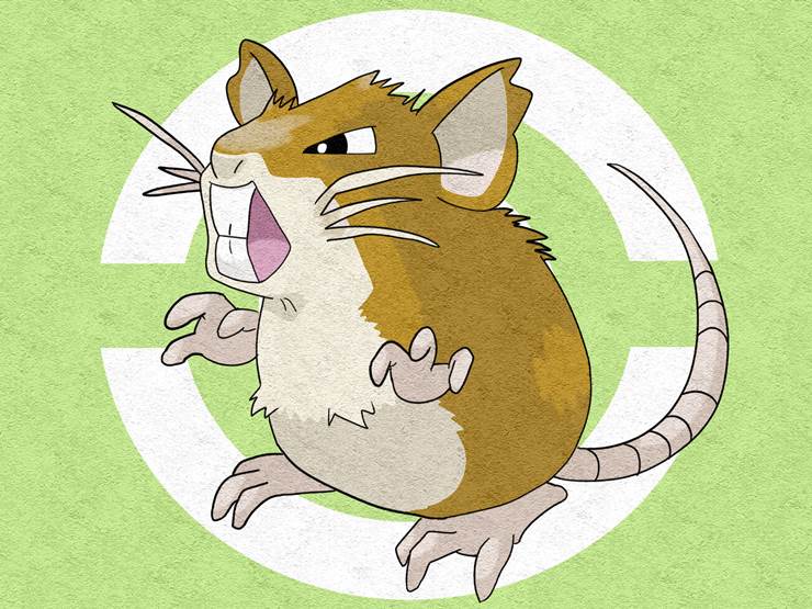 关都#20鼠宝可梦，拉达(ラッタ)插画图片