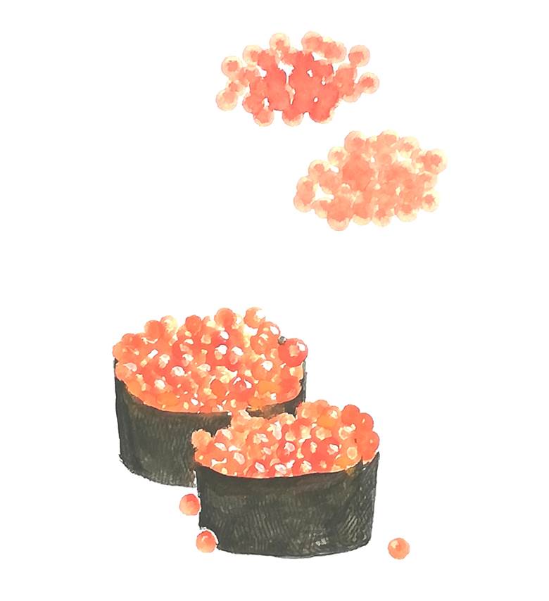 Sushi,ikura|花わらび的寿司美食插画图片