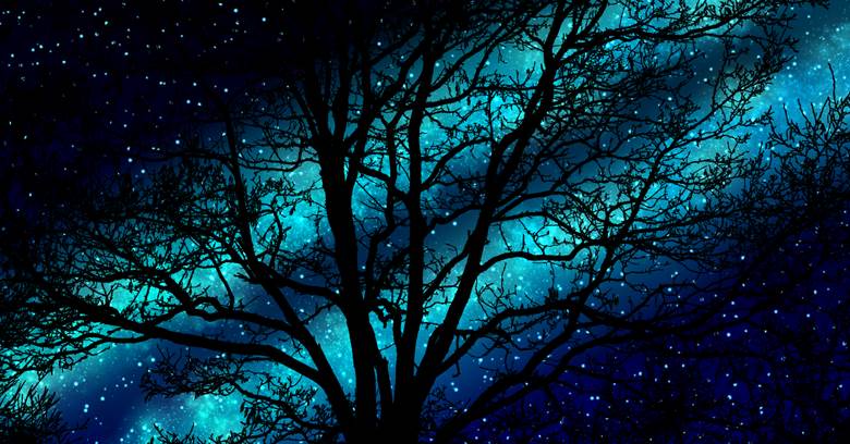 天の川と枝|星海空Hoshiumisora的树木植物插画图片
