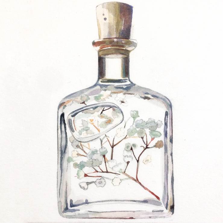 bottle&flower|插画师nanohana的手绘插画图片