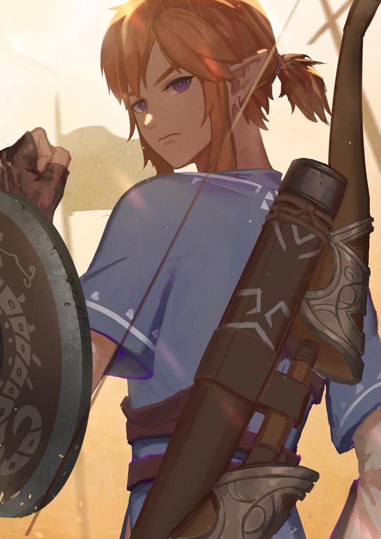 塞尔达传说, Link, Link (Breath of the Wild), 塞尔达传说 1000收藏