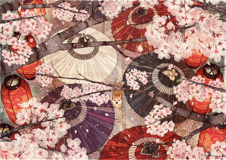 原创, shiba inu, 樱, Japanese umbrella, paper lantern, 原创3000收藏