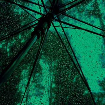 雨の日の林|星海空Hoshiumisora的植物景观插画图片