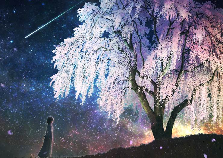 星と樱が降る夜に|Kupe的pixiv风景壁纸插画图片