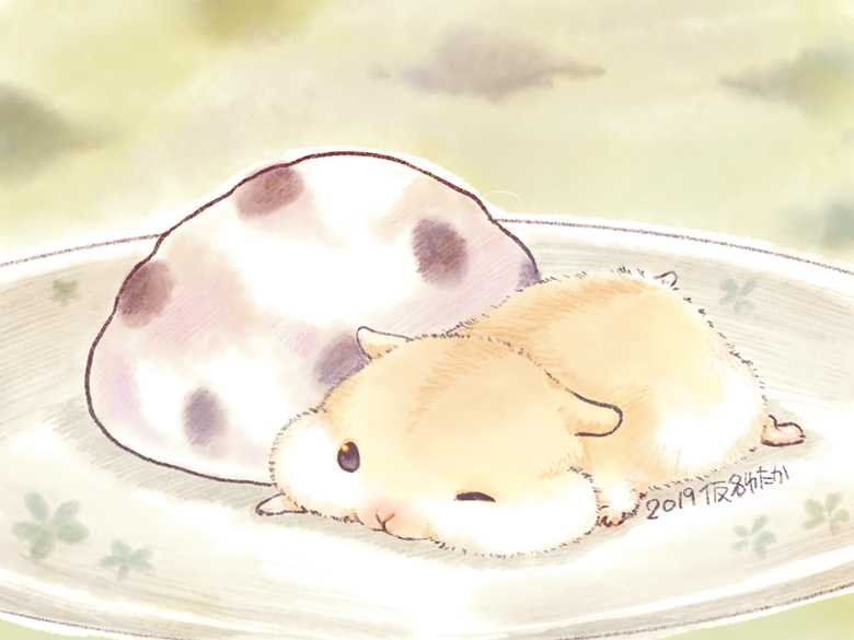 仓鼠,豆大福图片
