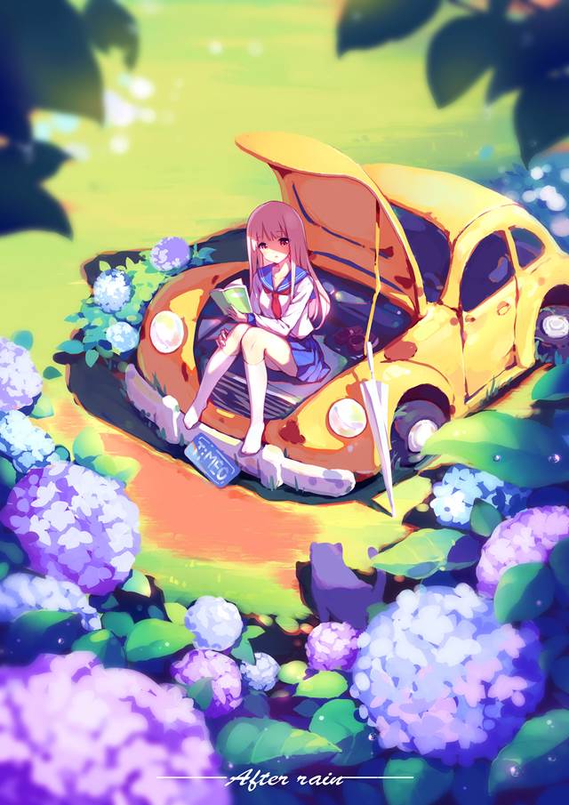 紫阳花, gray hair, 俯瞰