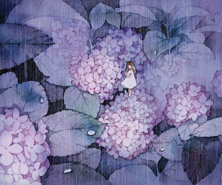雨催い|一留留的紫阳花插画图片