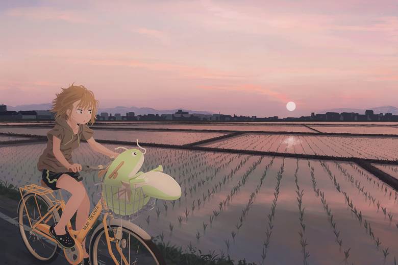 sky, summer, sunset, girl, original, scenery, background, paddy field, country, bicycle