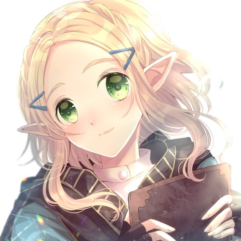 塞尔达传说, 塞尔达公主, 旷野之息, 塞尔达传说500收藏