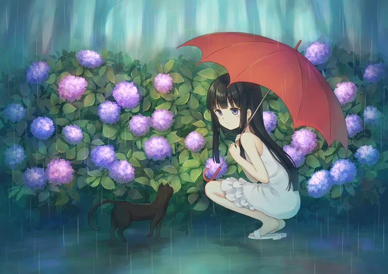 女孩子, rain, 紫阳花, cat and girl, summer dress, Original 250+ bookmarks