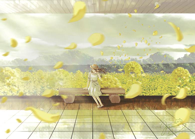 菜の花畑と少女|ふすい的高清风景插画图片