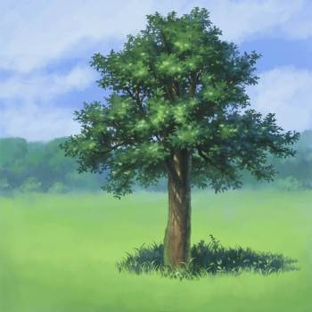 木のメイキング|屋久木雄太作画奋闘中的树木植物插画图片