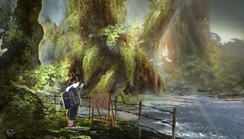 原创, 风景, background, forest